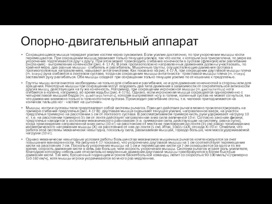 Опорно-двигательный аппарат Сокращающаяся мышца передает усилие костям через сухожилия. Если усилие достаточно,