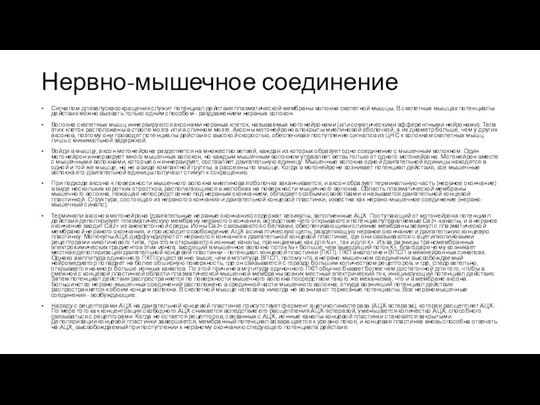 Нервно-мышечное соединение Сигналом длязапускасокращения служит потенциал действия плазматической мембраны волокна скелетной мышцы.