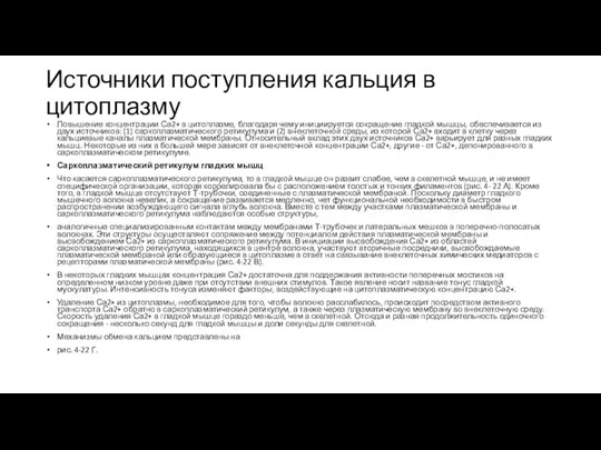 Источники поступления кальция в цитоплазму Повышение концентрации Са2+ в цитоплазме, благодаря чему