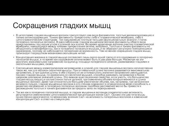 Сокращения гладких мышц В цитоплазме гладких мышечных волокон присутствуют два вида филаментов: