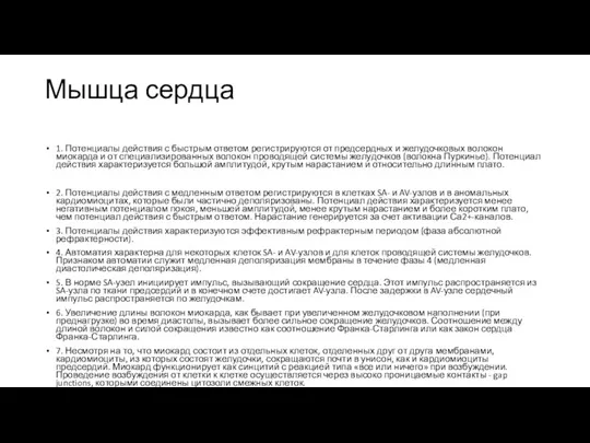 Мышца сердца 1. Потенциалы действия с быстрым ответом регистрируются от предсердных и