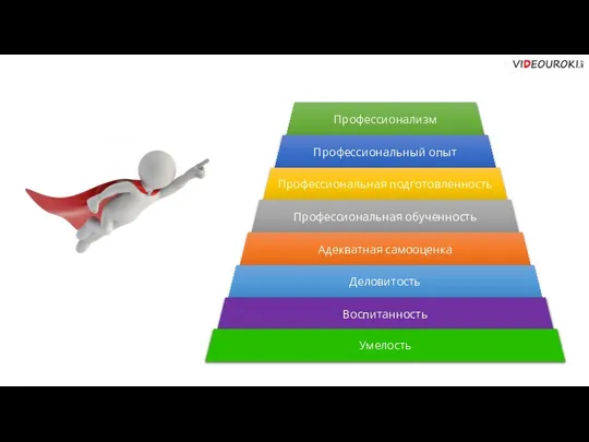 Профессионализм Профессиональный опыт Профессиональная подготовленность Профессиональная обученность Адекватная самооценка Деловитость Воспитанность Умелость