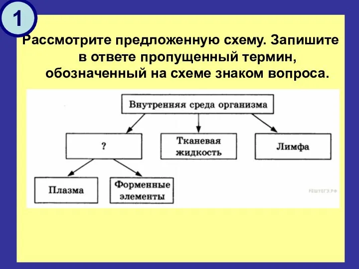 Рассмотрите предложенную схему. Запишите в ответе пропущенный термин, обозначенный на схеме знаком вопроса. 1