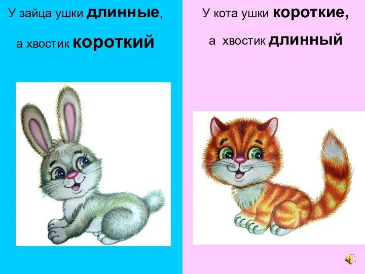 У зайца ушки длинные, а хвостик короткий У кота ушки короткие, а хвостик длинный