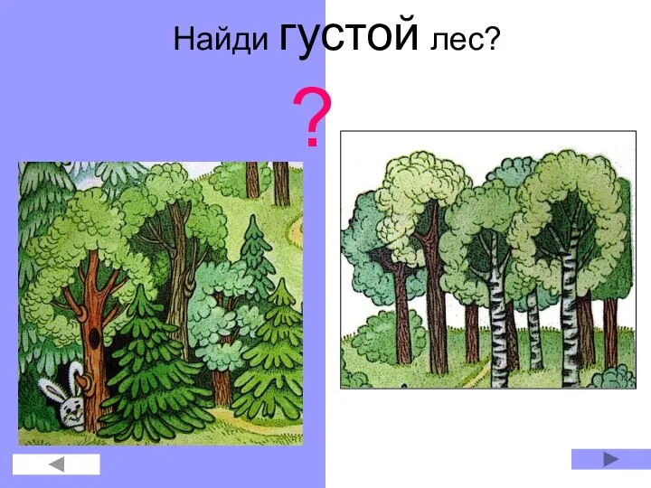 Найди густой лес? ?