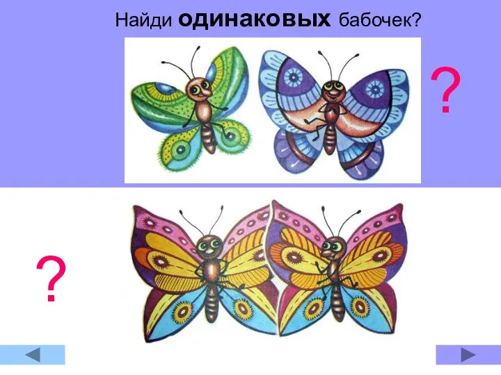 Найди одинаковых бабочек? Найди одинаковых бабочек? ? ?