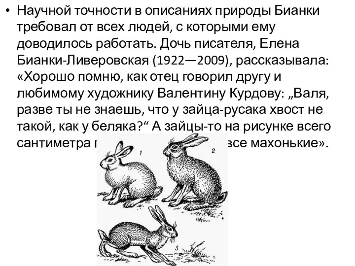 Научной точности в описаниях природы Бианки требовал от всех людей, с которыми