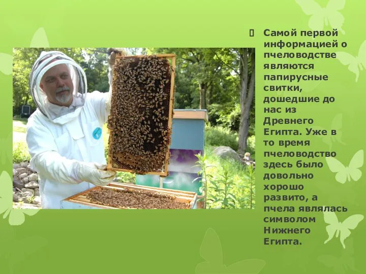 Самой первой информацией о пчеловодстве являются папирусные свитки, дошедшие до нас из