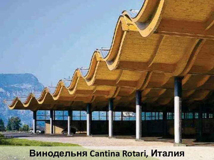 Винодельня Cantina Rotari, Италия