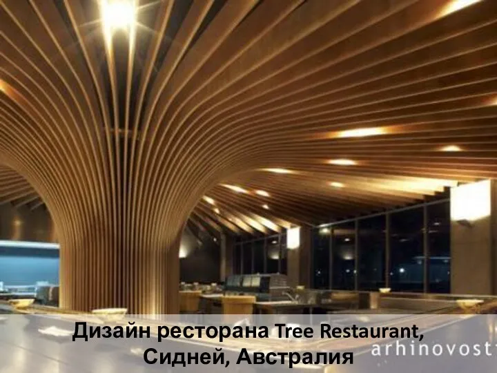 Дизайн ресторана Tree Restaurant, Сидней, Австралия