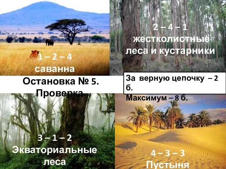 Остановка № 5. Проверка. 1 – 2 – 4 саванна 2 –