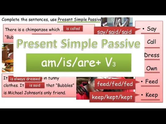 Complete the sentences, use Present Simple Passive. Say Call Dress Own Feed
