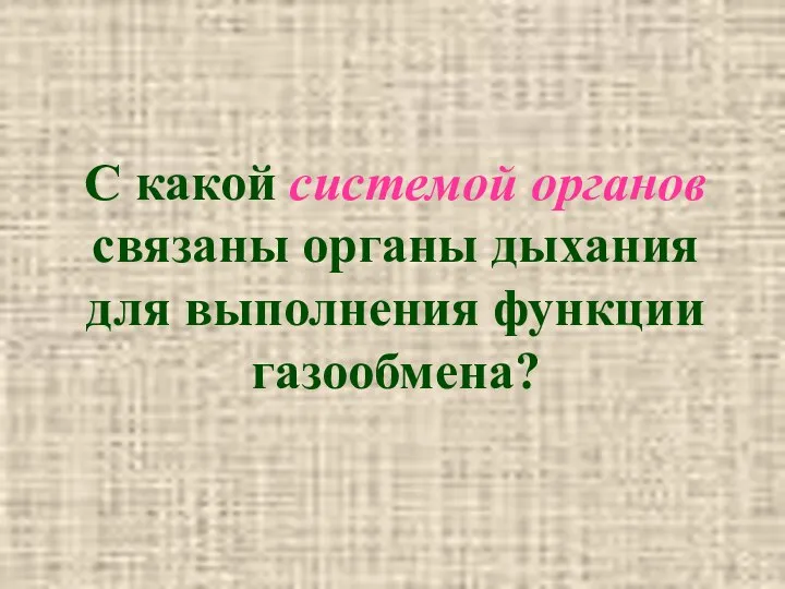 С какой системой органов связаны органы дыхания для выполнения функции газообмена?