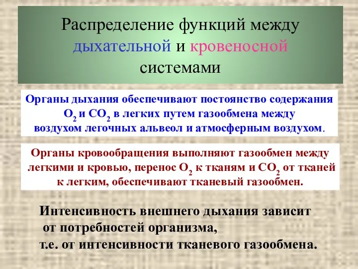 Распределение функций между дыхательной и кровеносной системами Органы дыхания обеспечивают постоянство содержания