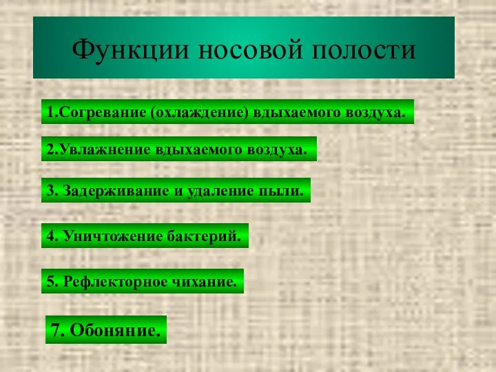 Функции носовой полости 1.Согревание (охлаждение) вдыхаемого воздуха. 2.Увлажнение вдыхаемого воздуха. 3. Задерживание