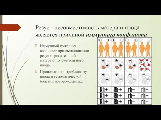 Резус - несовмести­мость матери и плода является причиной иммун­ного конфликта Иммунный конфликт