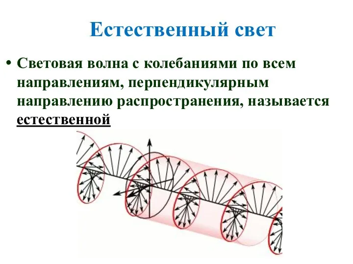 Естественный свет Световая волна с колебаниями по всем направлениям, перпендикулярным направлению распространения, называется естественной