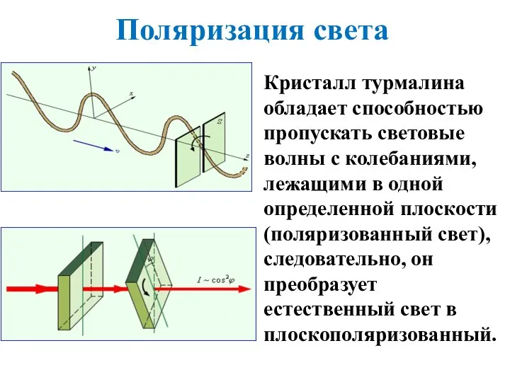 Поляризация света Кристалл турмалина обладает способностью пропускать световые волны с колебаниями, лежащими