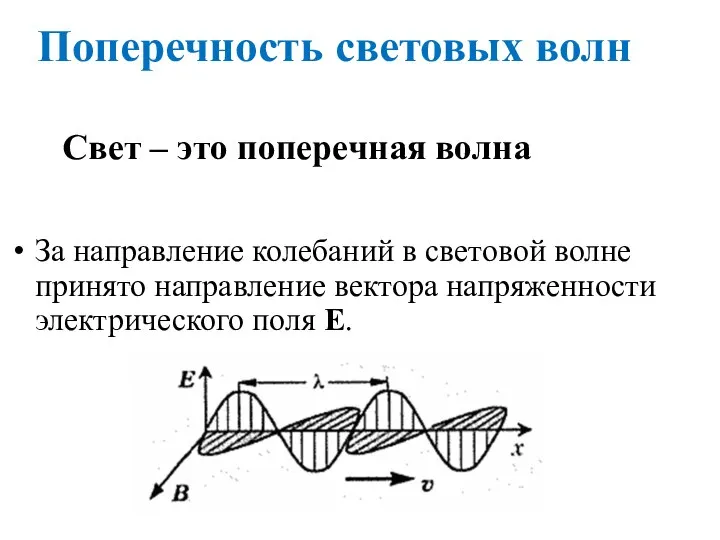 Поперечность световых волн За направление колебаний в световой волне принято направление вектора