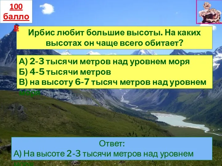 Ирбис любит большие высоты. На каких высотах он чаще всего обитает? А)