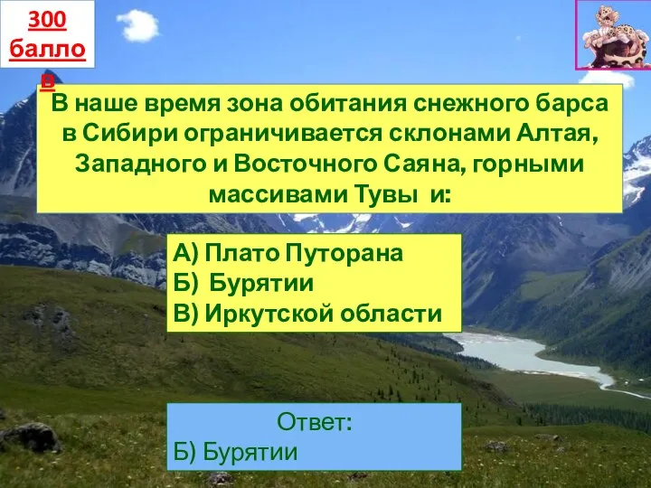 В наше время зона обитания снежного барса в Сибири ограничивается склонами Алтая,