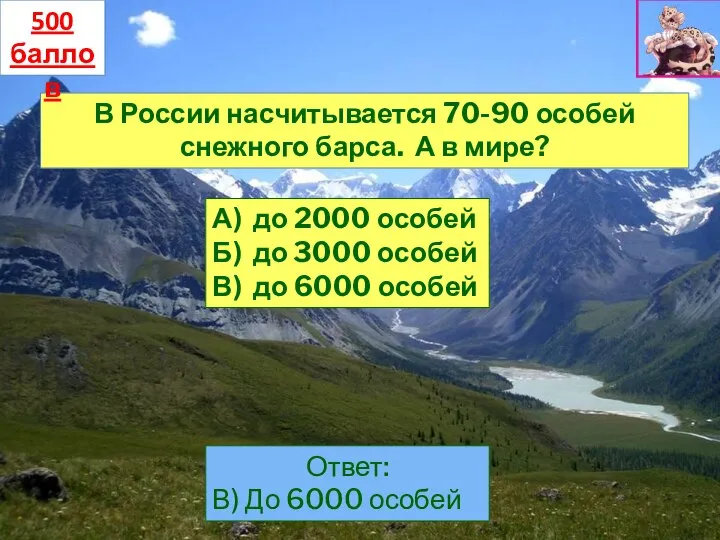 В России насчитывается 70-90 особей снежного барса. А в мире? А) до