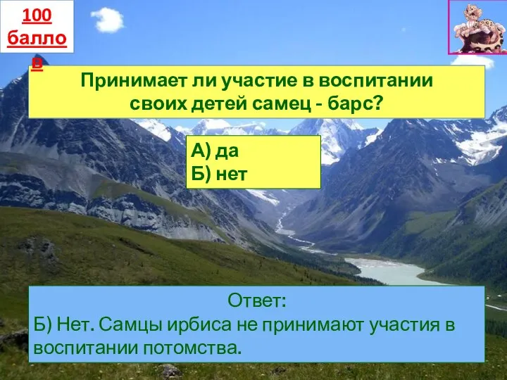 Принимает ли участие в воспитании своих детей самец - барс? А) да