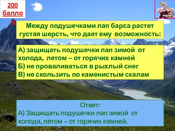 Между подушечками лап барса растет густая шерсть, что дает ему возможность: А)