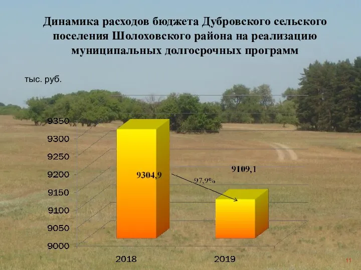 Динамика расходов бюджета Дубровского сельского поселения Шолоховского района на реализацию муниципальных долгосрочных программ тыс. руб.