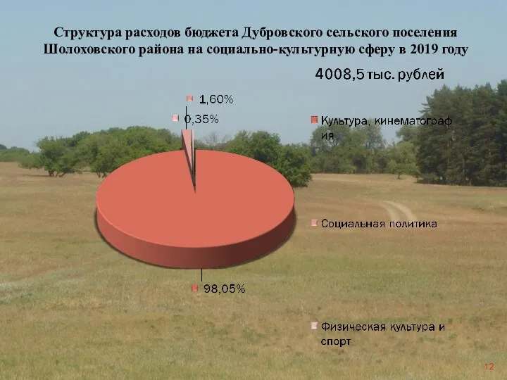 Структура расходов бюджета Дубровского сельского поселения Шолоховского района на социально-культурную сферу в 2019 году