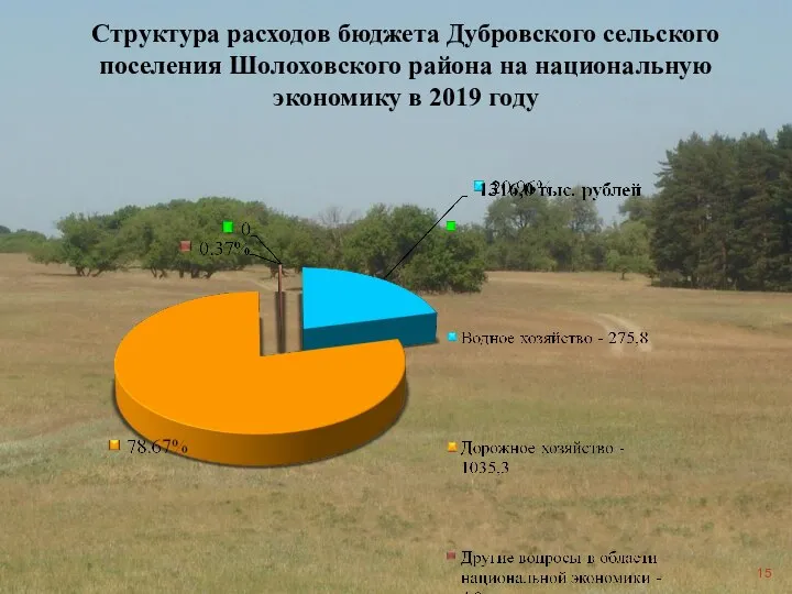 Структура расходов бюджета Дубровского сельского поселения Шолоховского района на национальную экономику в 2019 году