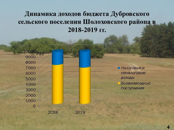 Динамика доходов бюджета Дубровского сельского поселения Шолоховского района в 2018-2019 гг.