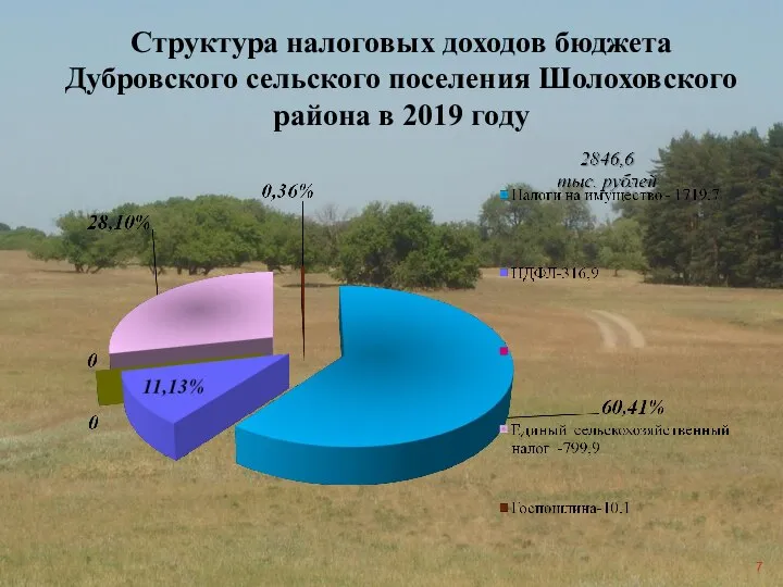 Структура налоговых доходов бюджета Дубровского сельского поселения Шолоховского района в 2019 году