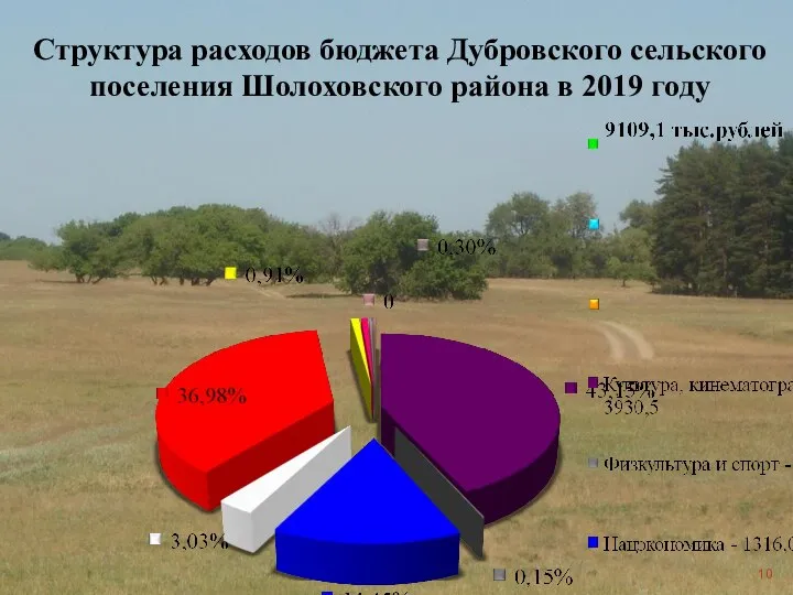 Структура расходов бюджета Дубровского сельского поселения Шолоховского района в 2019 году