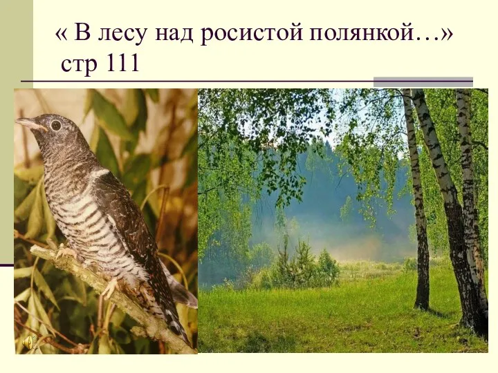« В лесу над росистой полянкой…» стр 111