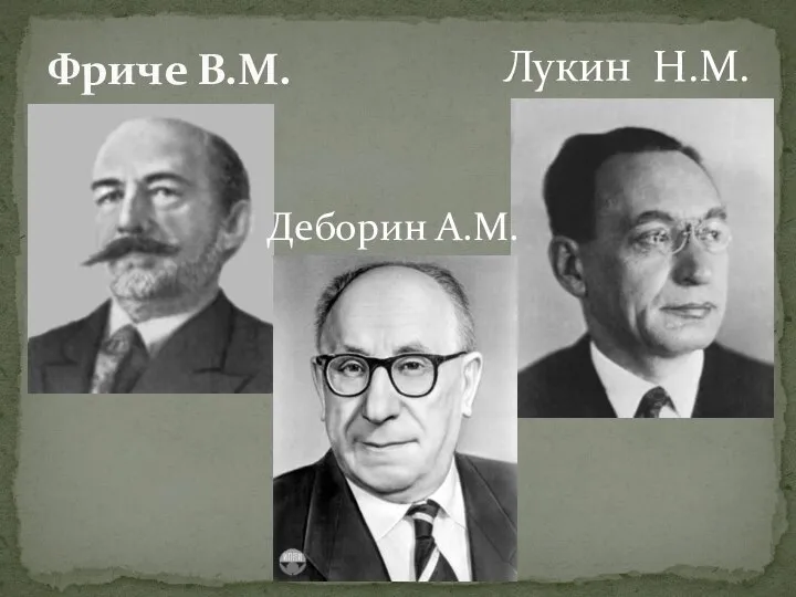 Фриче В.М. Деборин А.М. Лукин Н.М.