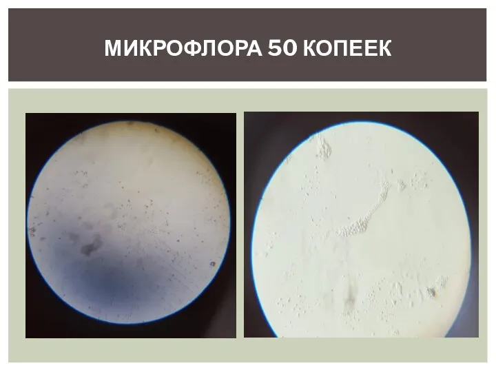 МИКРОФЛОРА 50 КОПЕЕК