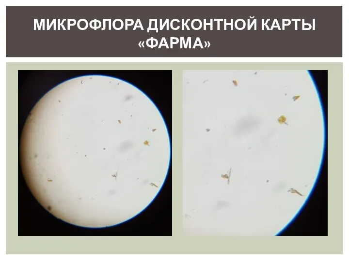 МИКРОФЛОРА ДИСКОНТНОЙ КАРТЫ «ФАРМА»