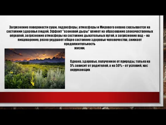 Загрязнение поверхности суши, гидросферы, атмосферы и Мирового океана сказывается на состоянии здоровья