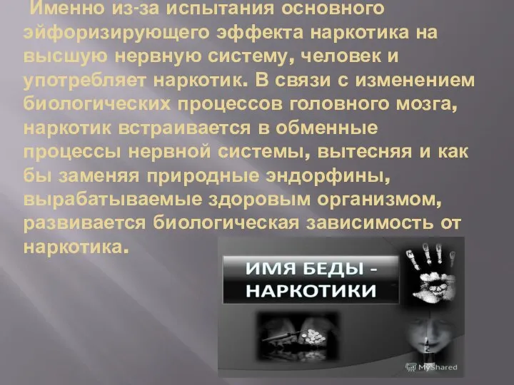 Именно из-за испытания основного эйфоризирующего эффекта наркотика на высшую нервную систему, человек