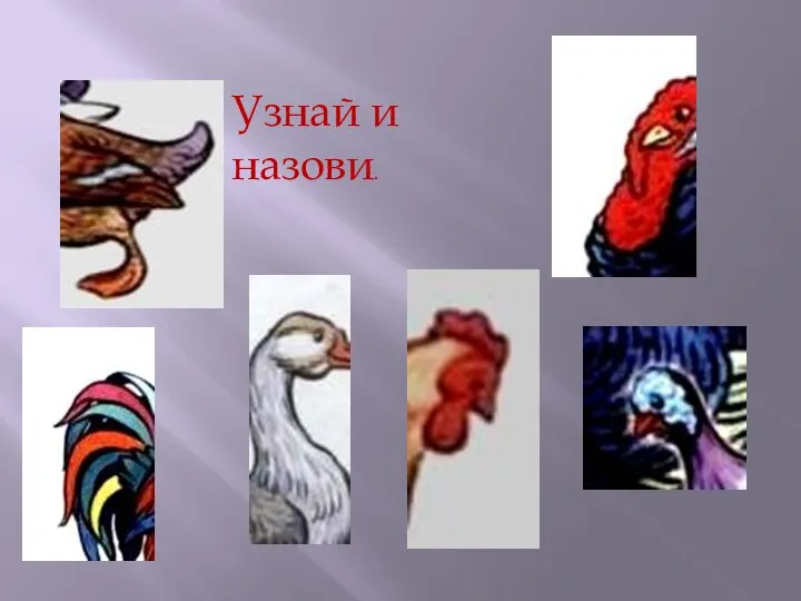 Узнай и назови.