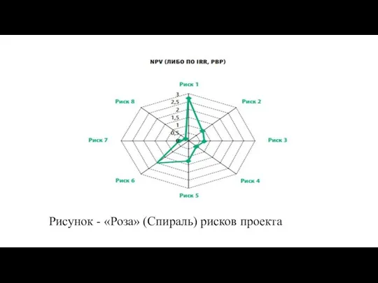 Рисунок - «Роза» (Спираль) рисков проекта