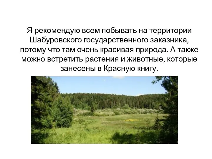 Я рекомендую всем побывать на территории Шабуровского государственного заказника, потому что там