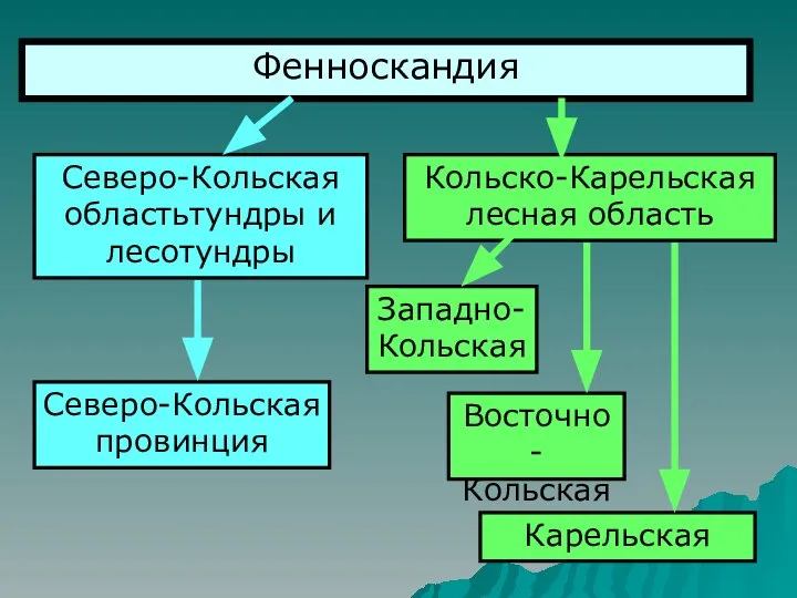 Фенноскандия Северо-Кольская областьтундры и лесотундры Северо-Кольская провинция Кольско-Карельская лесная область Западно-Кольская Восточно-Кольская Карельская