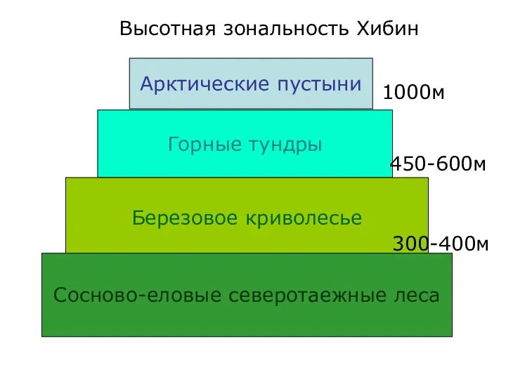 Арктические пустыни Горные тундры Березовое криволесье Сосново-еловые северотаежные леса 1000м 450-600м 300-400м Высотная зональность Хибин