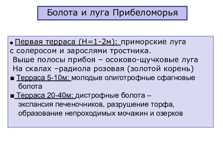 Болота и луга Прибеломорья ■ Первая терраса (Н=1-2м): приморские луга с солеросом