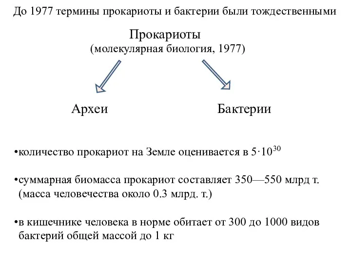 До 1977 термины прокариоты и бактерии были тождественными (молекулярная биология, 1977) Прокариоты