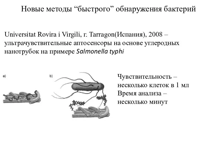 Новые методы “быстрого” обнаружения бактерий Universitat Rovira i Virgili, г. Tarragon(Испания), 2008