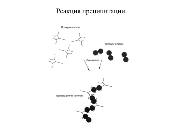 Реакция преципитации.