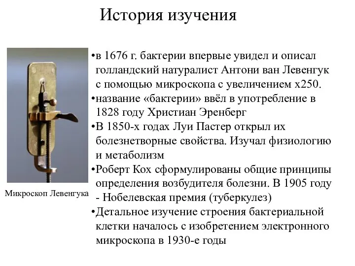 История изучения в 1676 г. бактерии впервые увидел и описал голландский натуралист